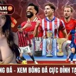trực tiếp bóng đá